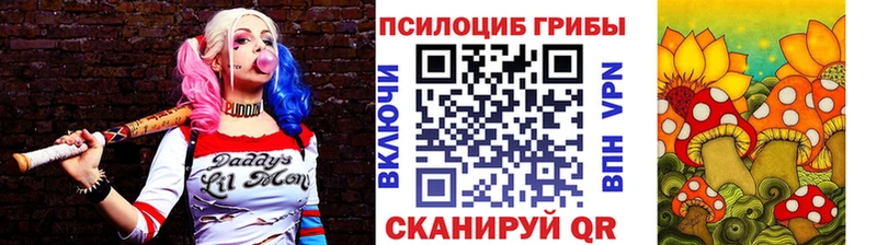 Галлюциногенные грибы Psilocybine cubensis  kraken ссылки  Ртищево 